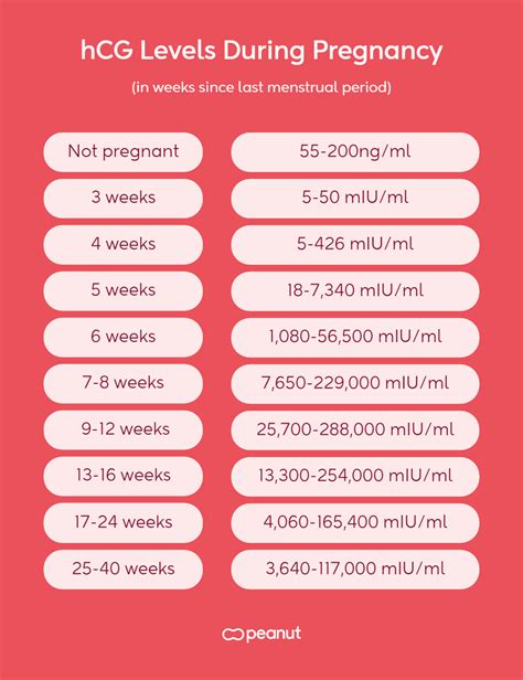 miu miu pregnancy|Everything About HCG Levels in Pregnancy .